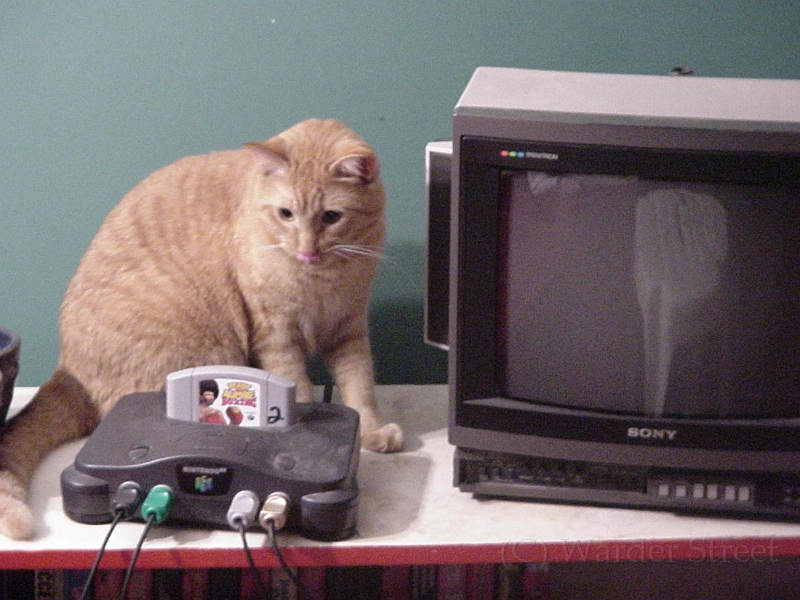 Solomon With N64.jpg